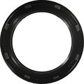 Reinz Crankshaft Seal, 81-38031-00 81-38031-00